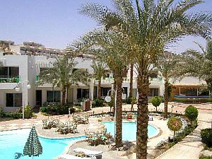 Фото new tiran 10.jpg Photo