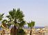 Фото new tiran 15.jpg Photo