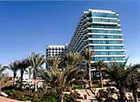 ,  -  ,  Hilton Dubai Jumeirah 5 *